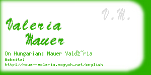 valeria mauer business card